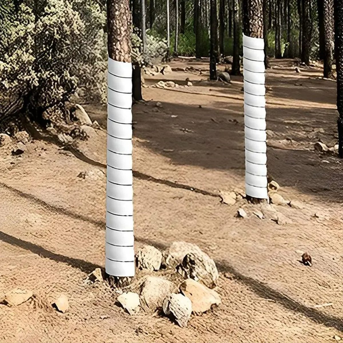 A75K Plant Tree Trunk Protecto - đánh giá và giá Gardening Tools B&Q