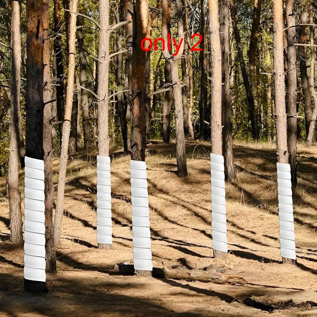 A75K Plant Tree Trunk Protecto - đánh giá và giá Gardening Tools B&Q
