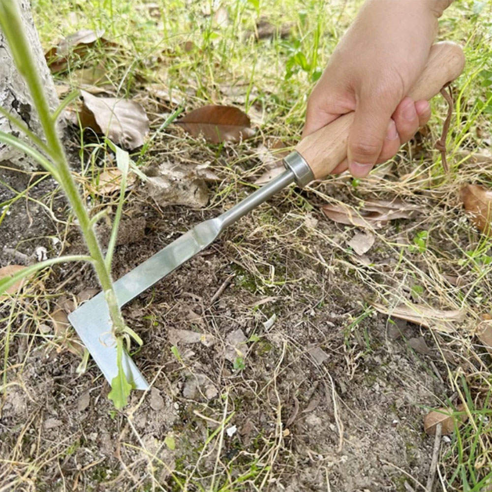 Stainless Steel Gap Weeding To - đánh giá và giá Gardening Tools Used For Weeding