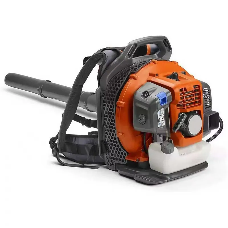 Portable Backpack Blower for G - đánh giá và giá Gardening Tools Price