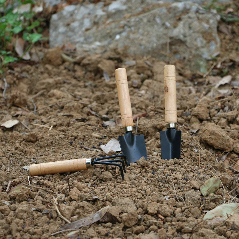 3Pcs/Set Mini Garden Tool Set  - đánh giá và giá Gardening Tools Vegetables