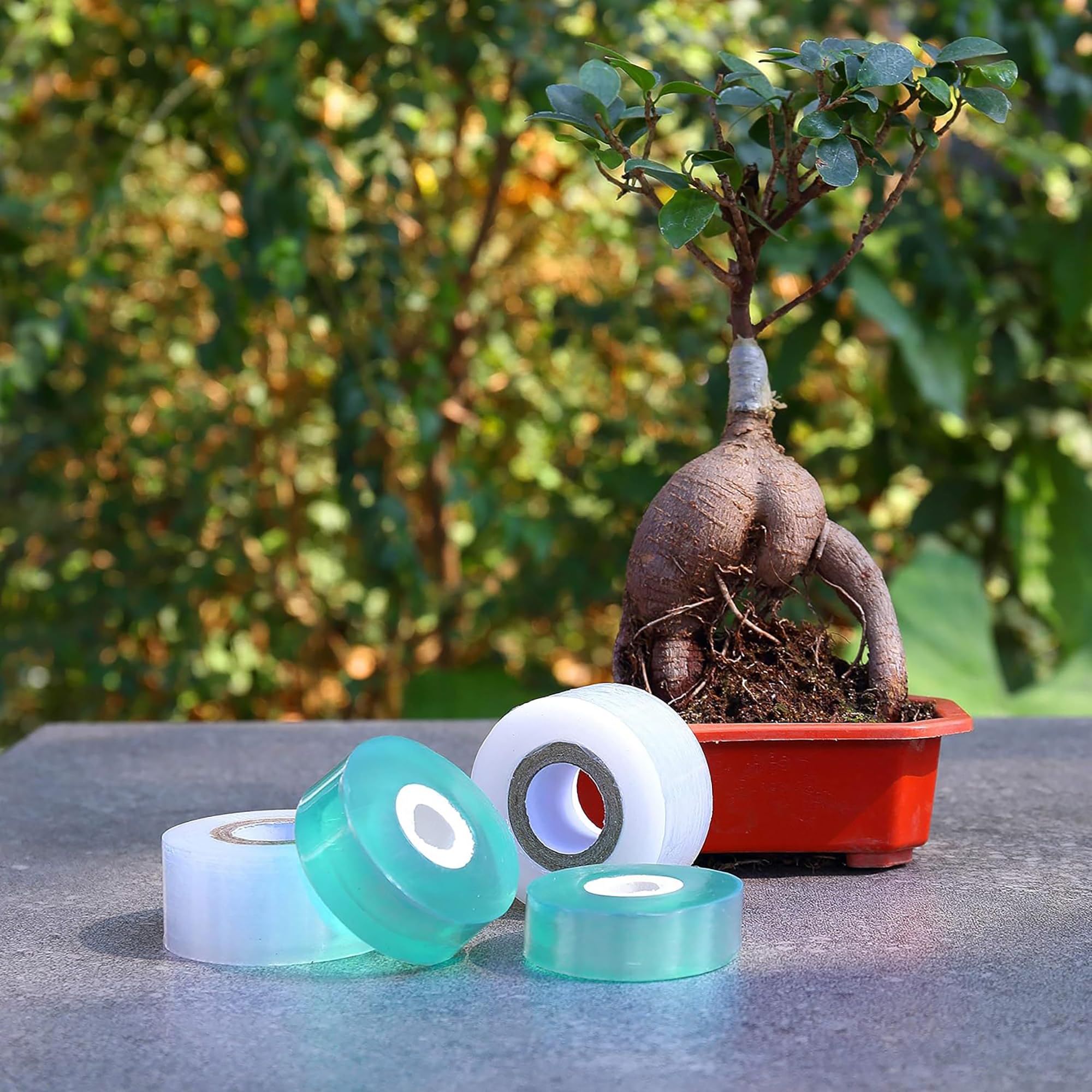 Easy Use Biodegradable Self Ad - đánh giá và giá Gardening Tools Uses