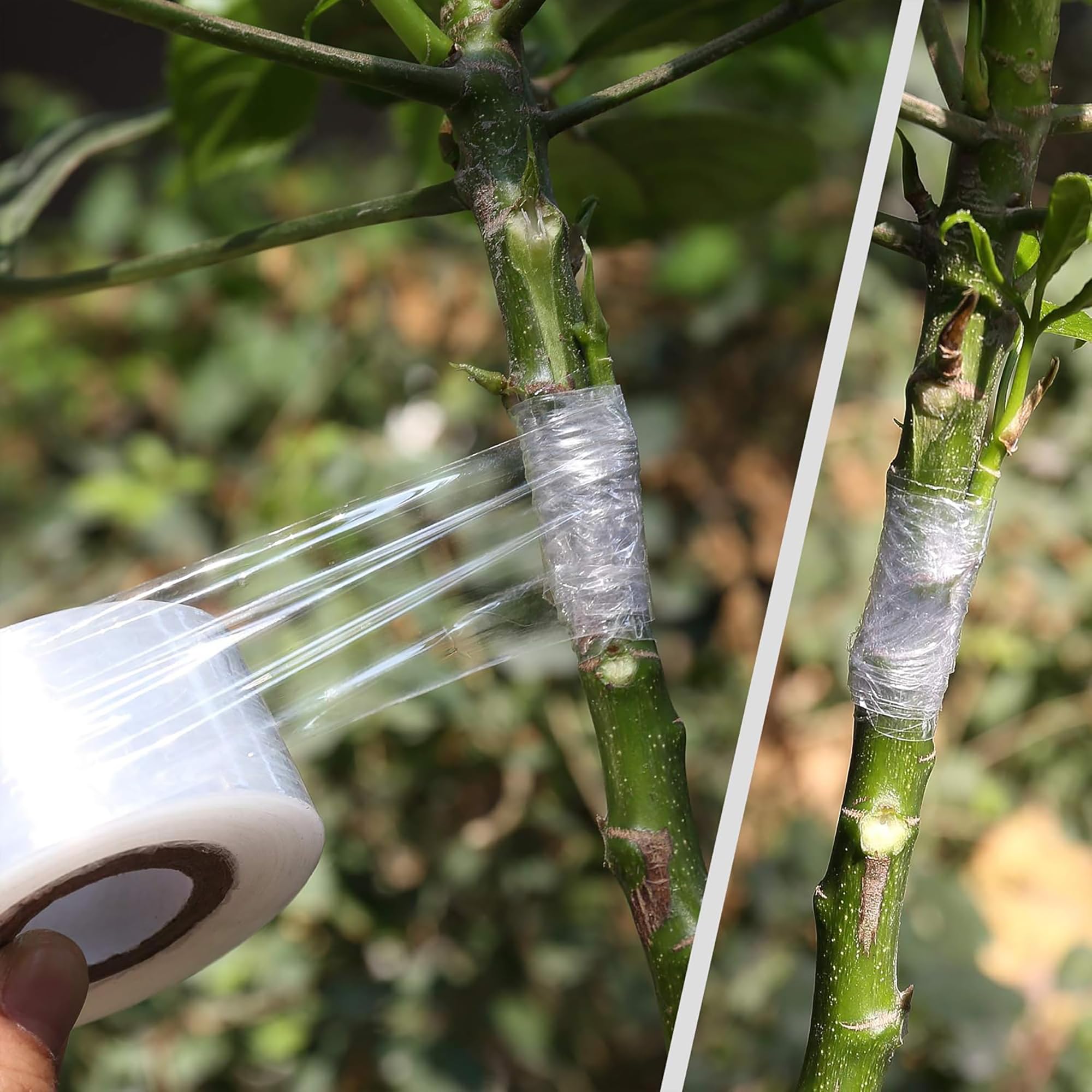 Easy Use Biodegradable Self Ad - đánh giá và giá Gardening Tools Uses