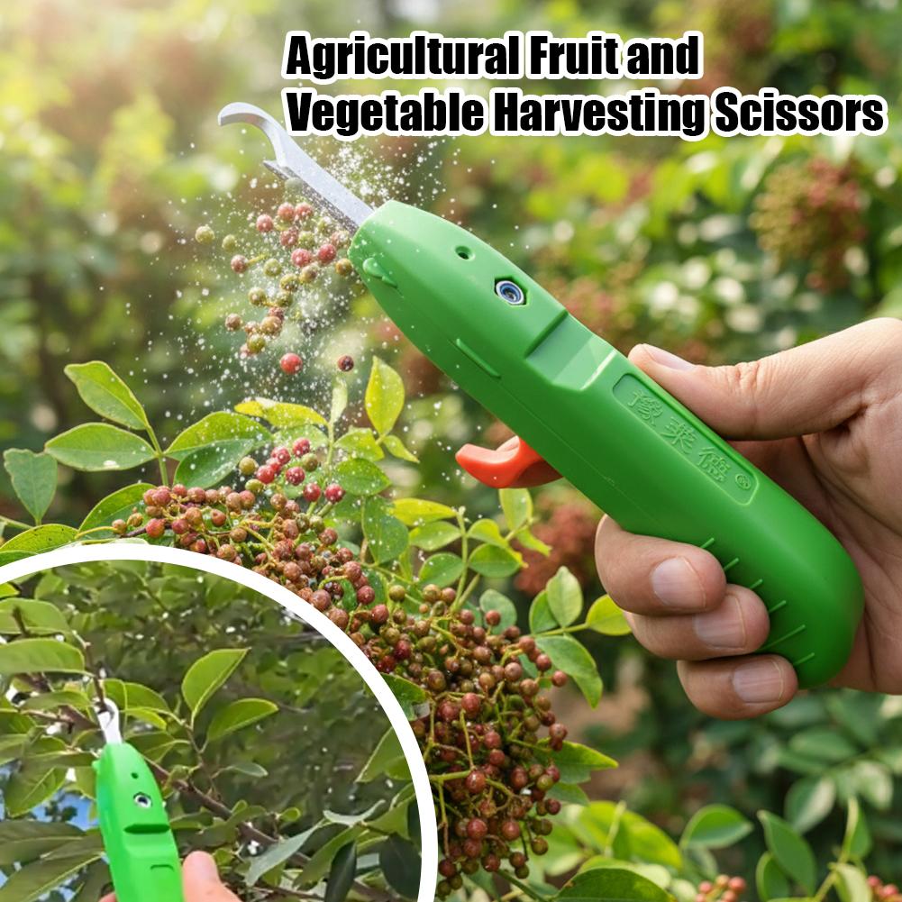 Fruit And Vegetable Picking Sh - đánh giá và giá Gardening Tools Vegetables