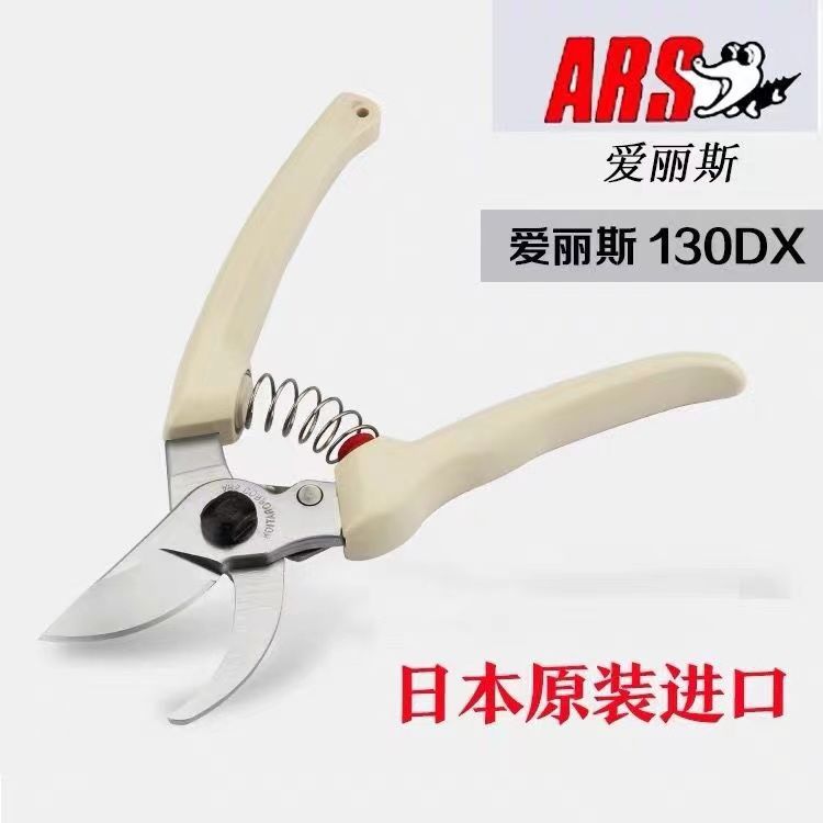 Pruning scissors, garden tools - đánh giá và giá Gardening Tools Japan