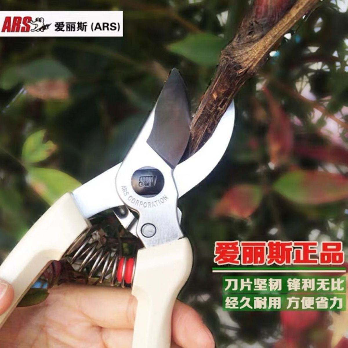 Pruning scissors, garden tools - đánh giá và giá Gardening Tools Japan