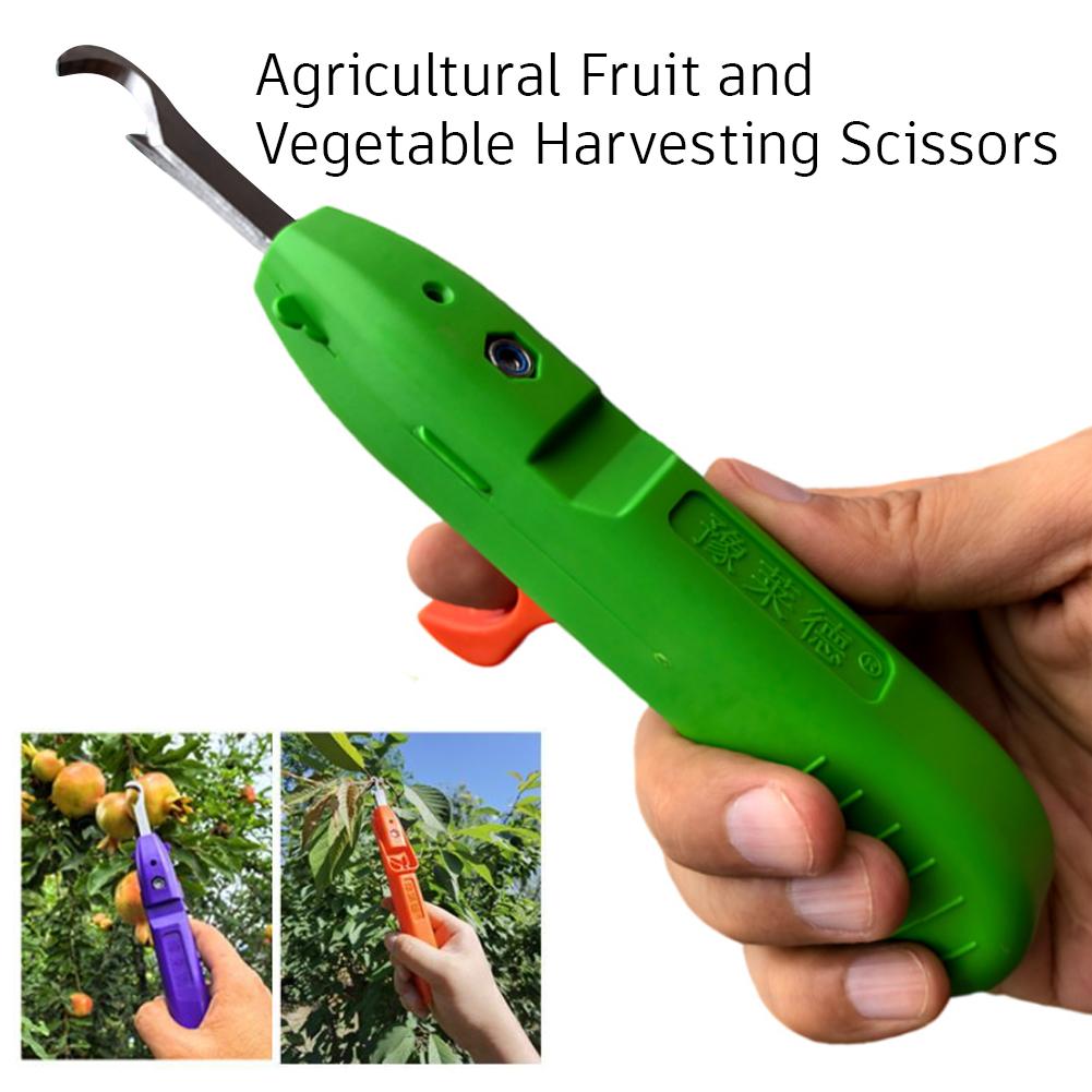 Portable Fruit Vegetable Quick - đánh giá và giá Gardening Tools Vegetables