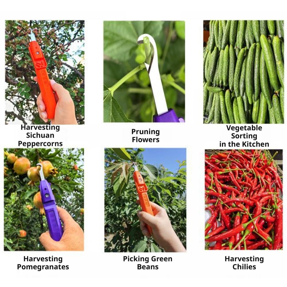 Portable Fruit Vegetable Quick - đánh giá và giá Gardening Tools Vegetables