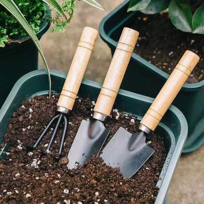 3PC/1Set Mini Gardening Tools  - đánh giá và giá Gardening Tools Shop