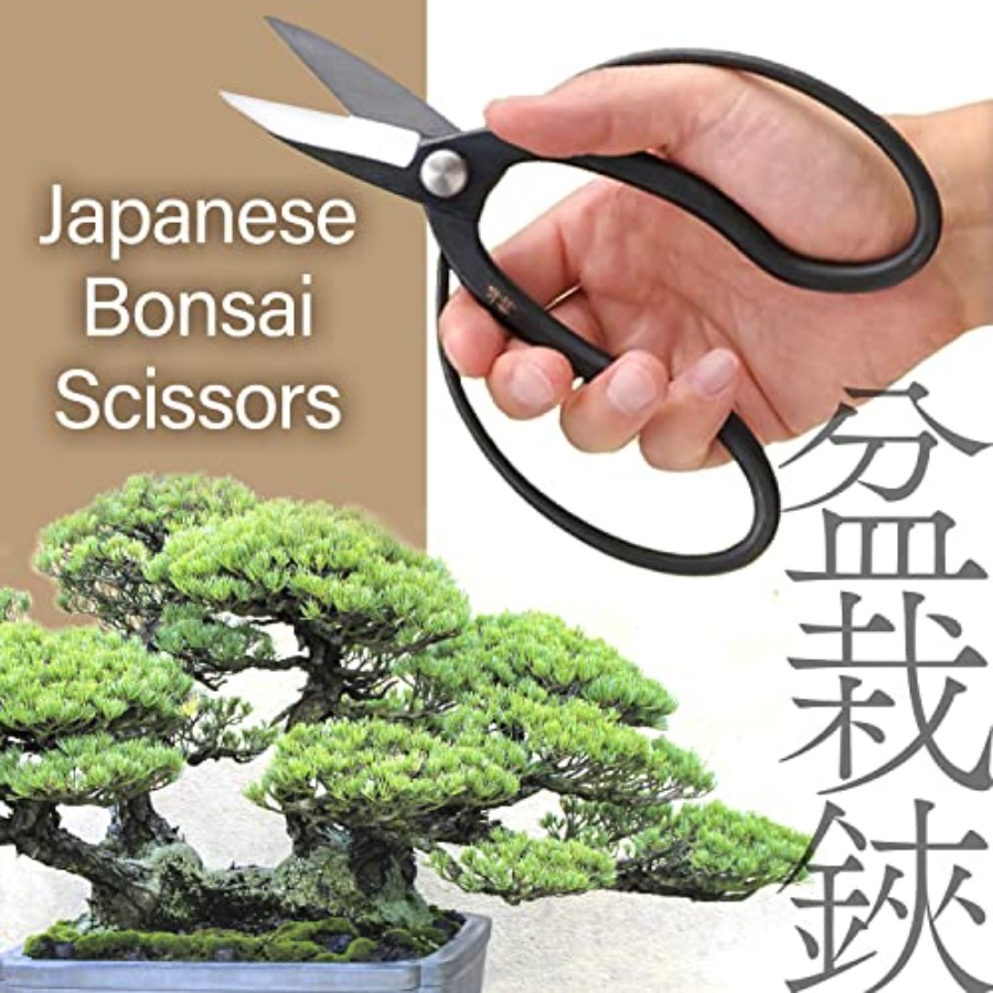 Japanese Suiryu Bonsai Scissor - đánh giá và giá Gardening Tools Japan