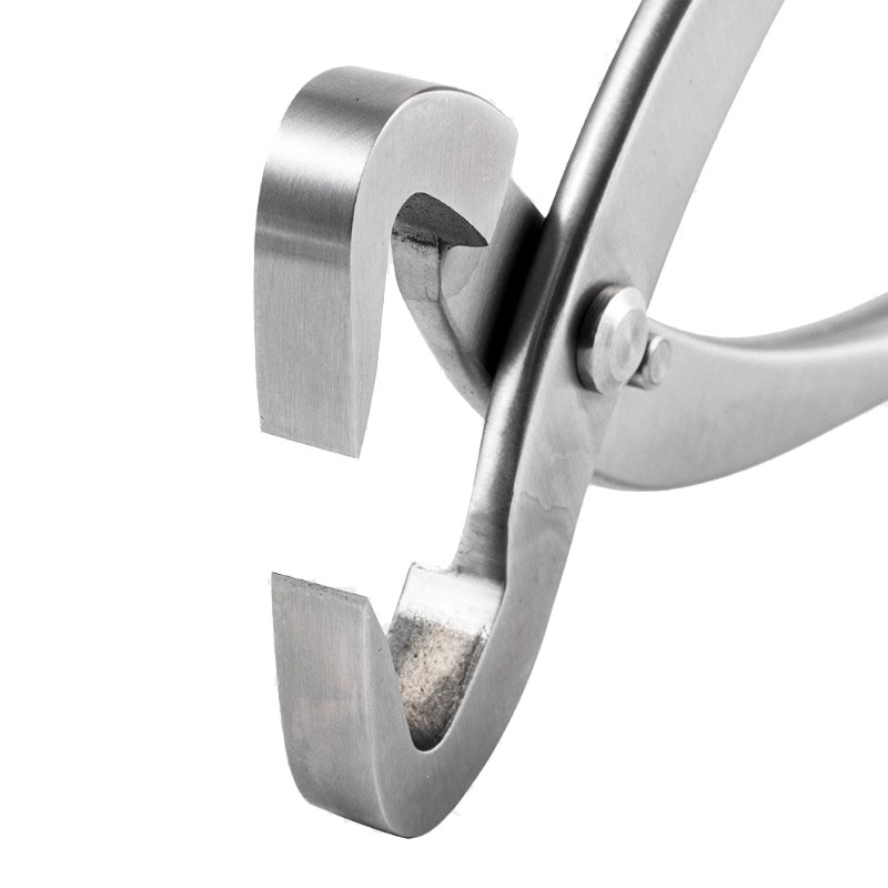 2pcs 210mm Stainless Steel Bon - đánh giá và giá Gardening Tools Shop