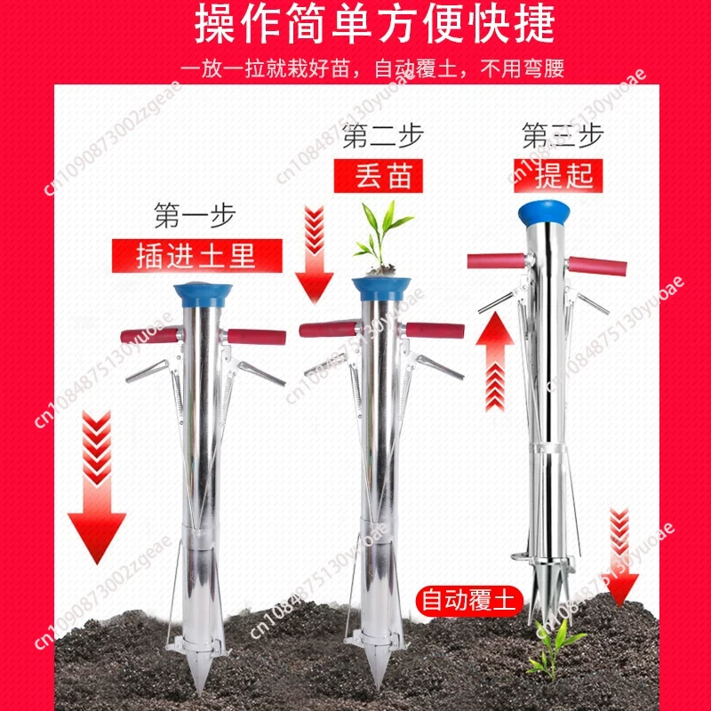 Garden Tools Seedling Transpla - đánh giá và giá Gardening Tools Vegetables