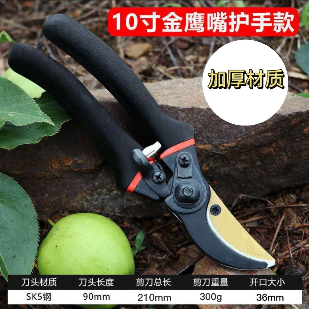 Japan Thickened SK5 Steel Bran - đánh giá và giá Gardening Tools Japan