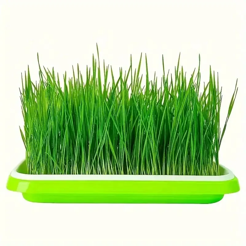 Latest Models Seedling Tray Su - đánh giá và giá Gardening Tools Vegetables
