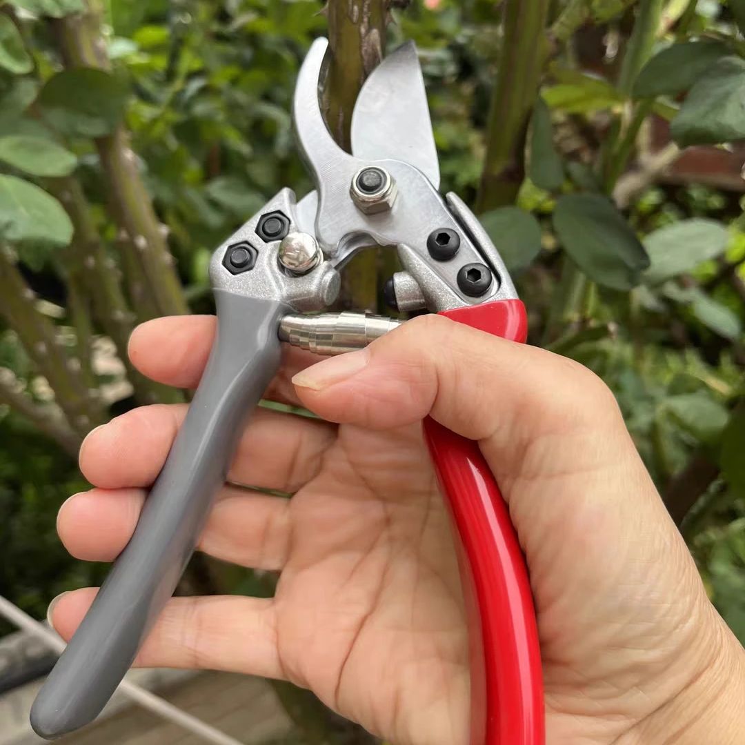 Japan Vvt New Sk5 Strong Garde - đánh giá và giá Gardening Tools Japan
