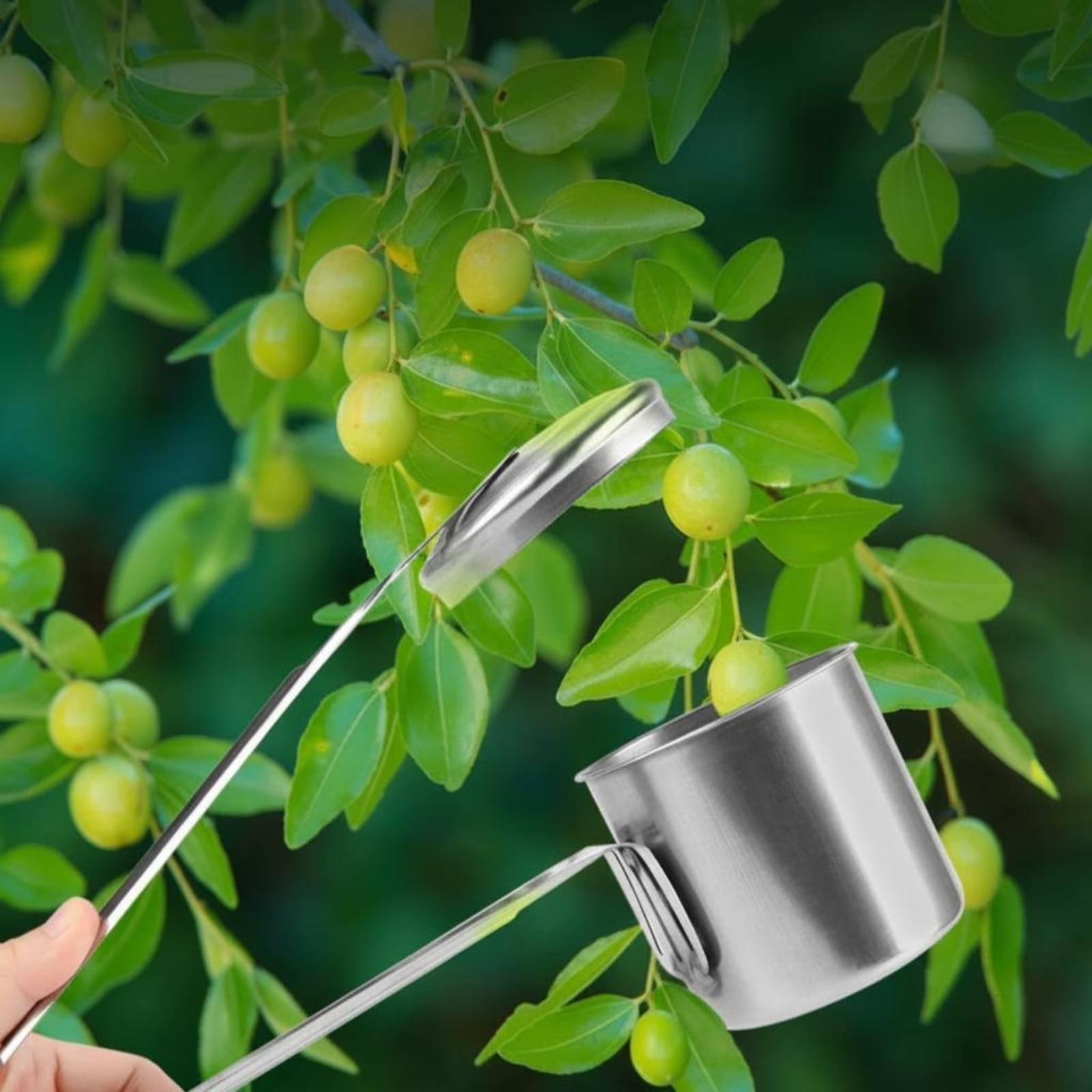 Cup Fruit Picker Stainless Ste - đánh giá và giá Gardening Tools Uses