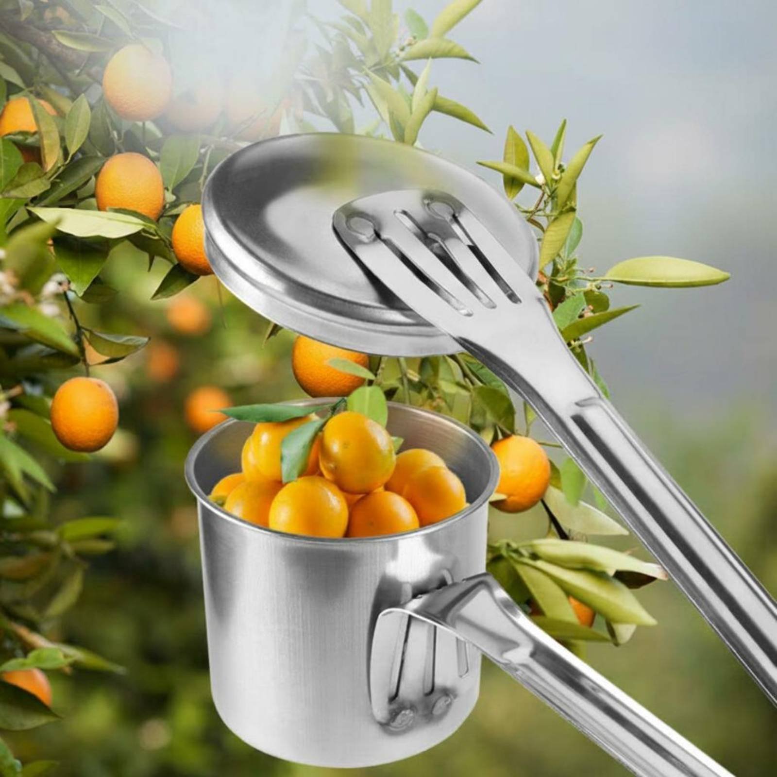 Cup Fruit Picker Stainless Ste - đánh giá và giá Gardening Tools Uses