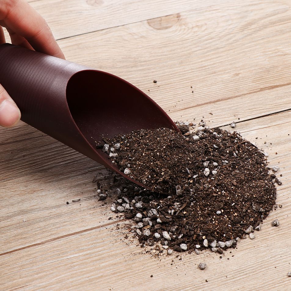 1PC Plastic Soil Shovel Cup Fo - đánh giá và giá Gardening Tools Box